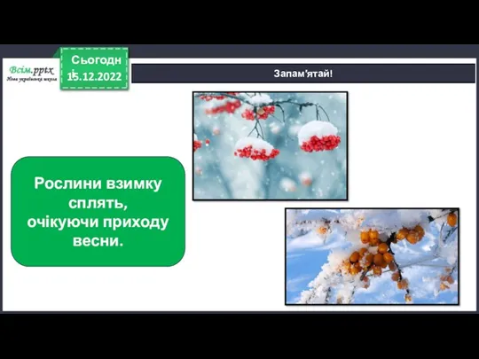 15.12.2022 Сьогодні Запам′ятай! Рослини взимку сплять, очікуючи приходу весни.