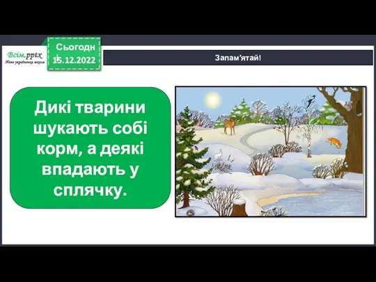 15.12.2022 Сьогодні Запам′ятай! Дикі тварини шукають собі корм, а деякі впадають у сплячку.