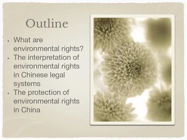 Outline What are environmental rights? The interpretation of environmental rights