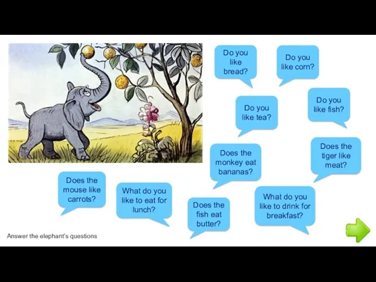 Answer the elephant’s questions Do you like bread? Do you