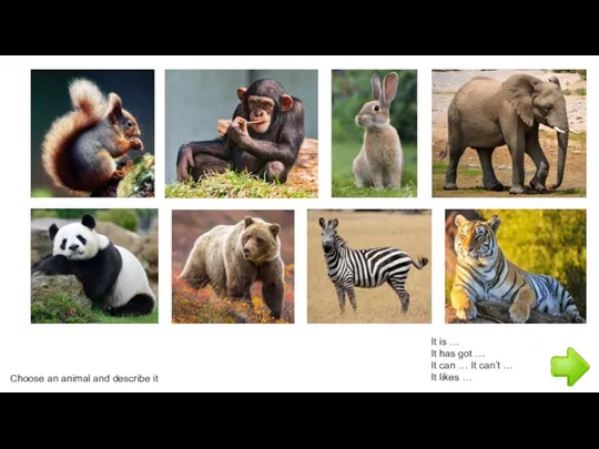 Choose an animal and describe it It is … It