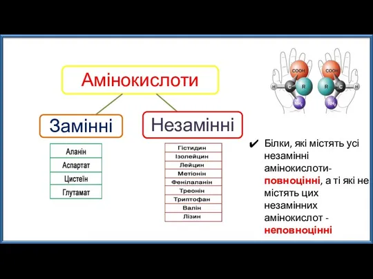 Білки, які містять усі незамінні амінокислоти-повноцінні, а ті які не містять цих незамінних амінокислот -неповноцінні