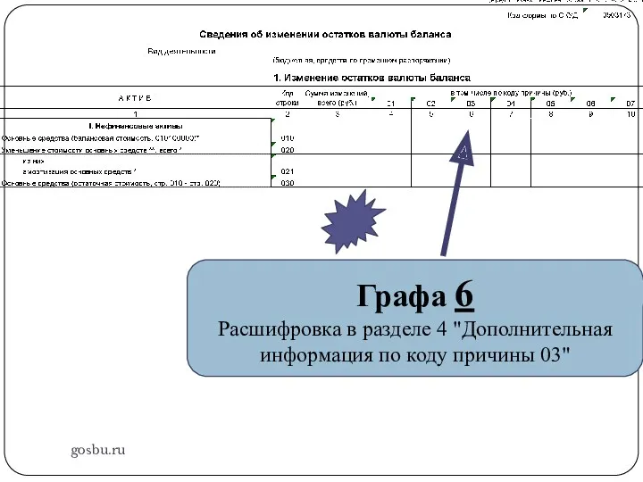 gosbu.ru Графа 6 Расшифровка в разделе 4 "Дополнительная информация по коду причины 03"