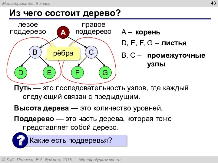 Из чего состоит дерево? A – D, E, F, G