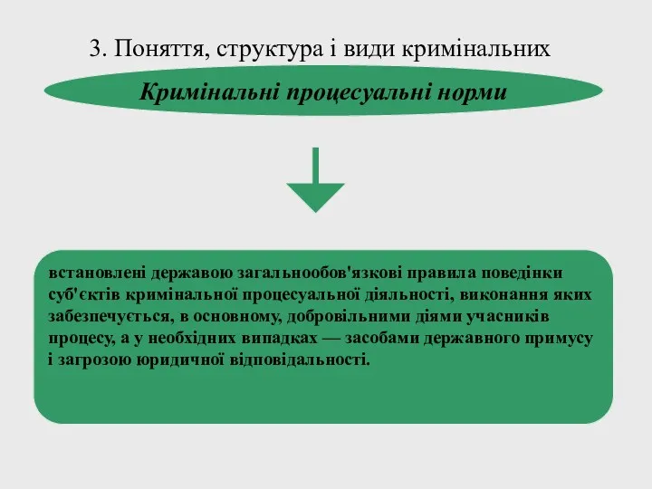 3. Поняття, структура і види кримінальних процесуальних норм Кримінальні процесуальні