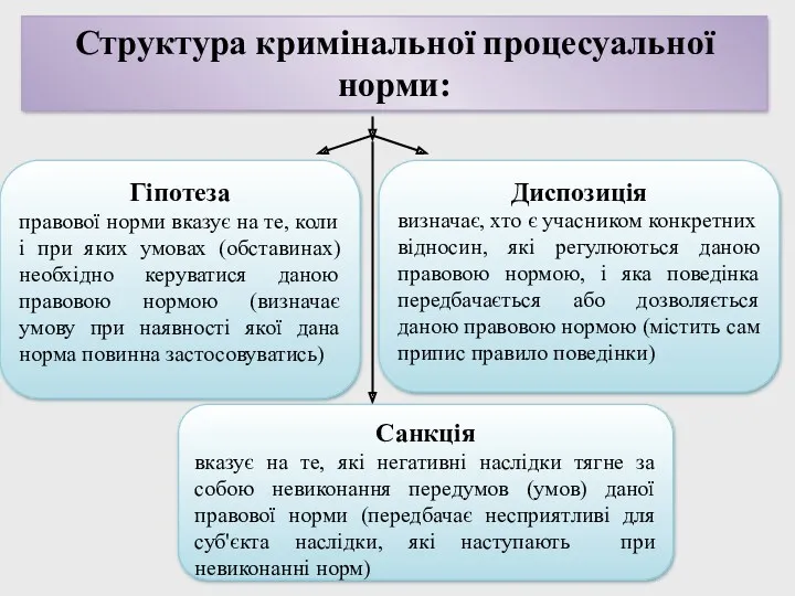 Структура кримінальної процесуальної норми: Гіпотеза правової норми вказує на те,