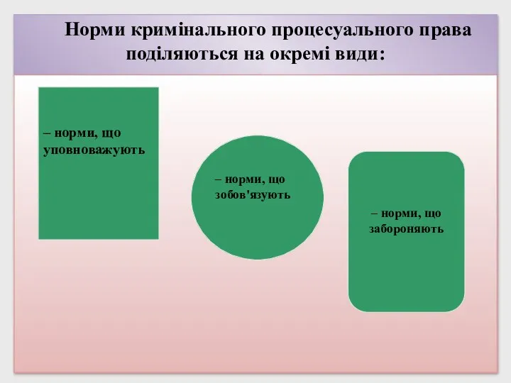 Норми кримінального процесуального права поділяються на окремі види: – норми,