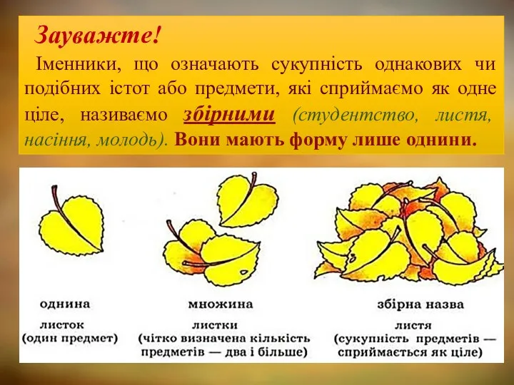 Зауважте! Іменники, що означають сукупність однакових чи подібних істот або