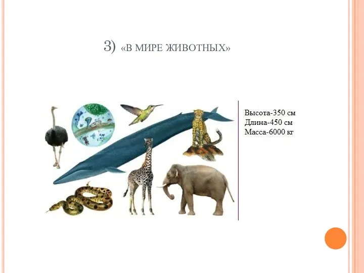 3) «В МИРЕ ЖИВОТНЫХ»