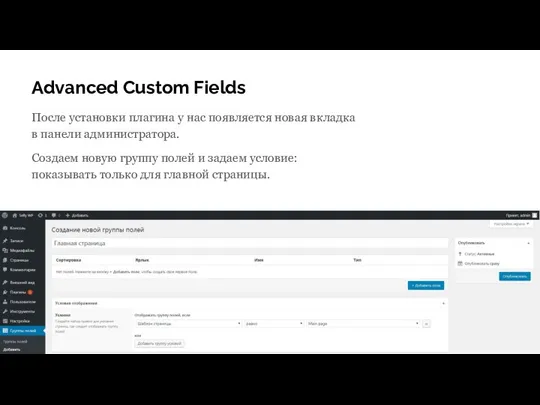 Advanced Custom Fields После установки плагина у нас появляется новая