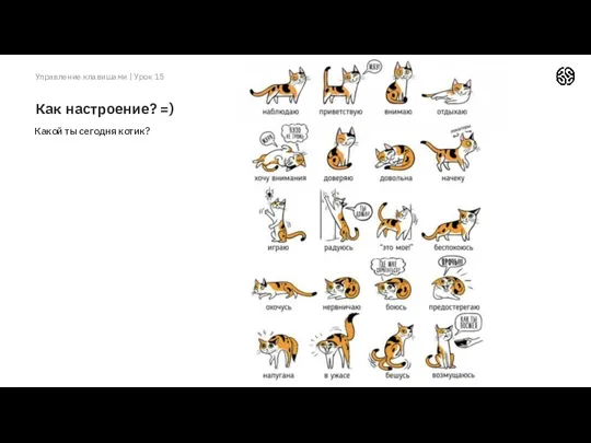 Управление клавишами | Урок 15 Как настроение? =) Какой ты сегодня котик?