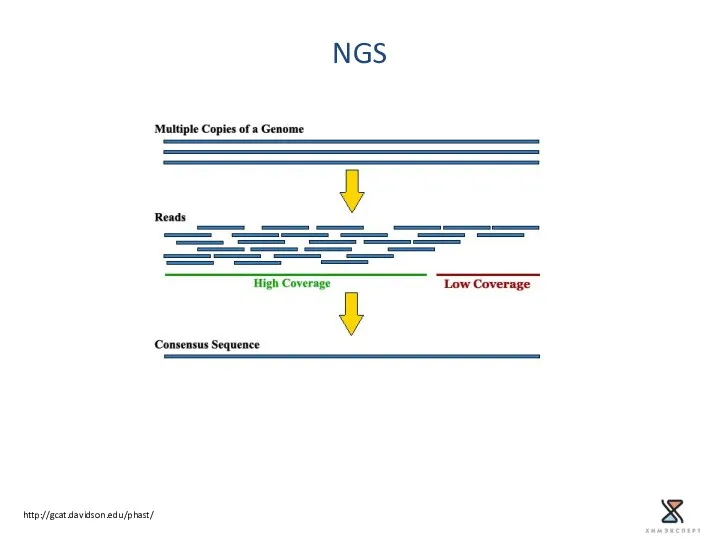 NGS http://gcat.davidson.edu/phast/