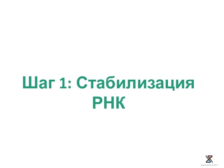 Шаг 1: Стабилизация РНК