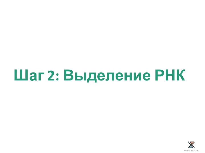 Шаг 2: Выделение РНК