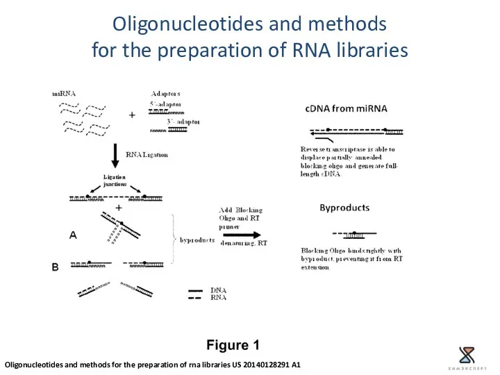 Oligonucleotides and methods for the preparation of RNA libraries Oligonucleotides