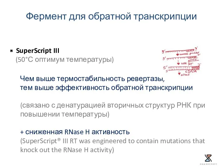 Фермент для обратной транскрипции SuperScript III (50°С оптимум температуры) Чем