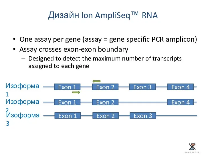 One assay per gene (assay = gene specific PCR amplicon)