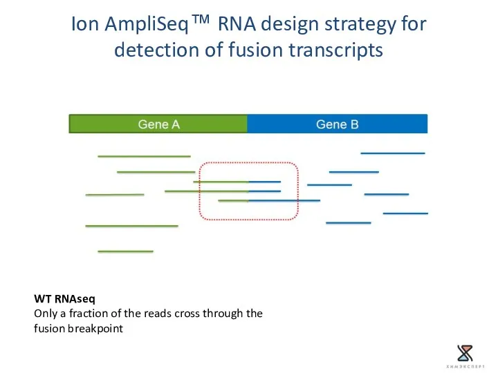 Ion AmpliSeq™ RNA design strategy for detection of fusion transcripts