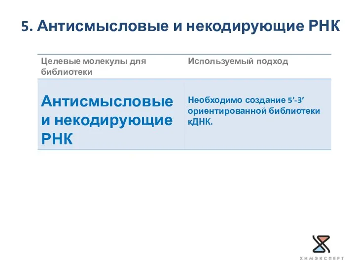 5. Антисмысловые и некодирующие РНК