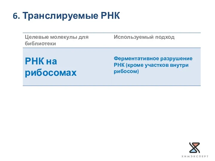 6. Транслируемые РНК