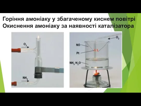 Горіння амоніаку у збагаченому киснем повітрі Окиснення амоніаку за наявності каталізатора