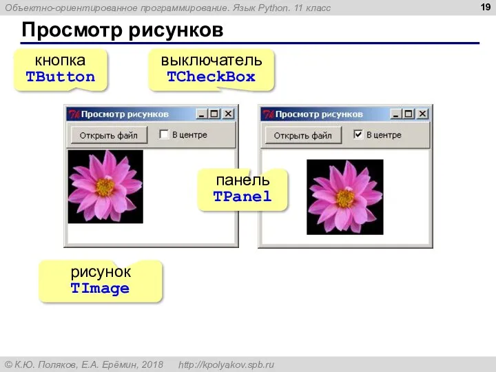 Просмотр рисунков панель TPanel выключатель TCheckBox рисунок TImage кнопка TButton