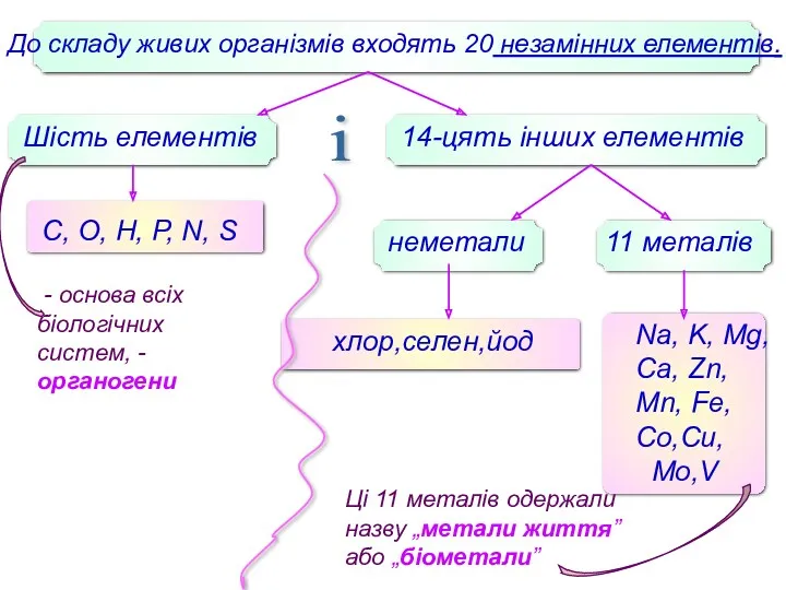 До складу живих організмів входять 20 незамінних елементів. Шість елементів