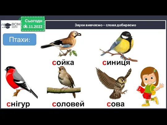 06.11.2022 Сьогодні Звуки вивчаємо – слова добираємо сойка синиця снігур Птахи: соловей сова