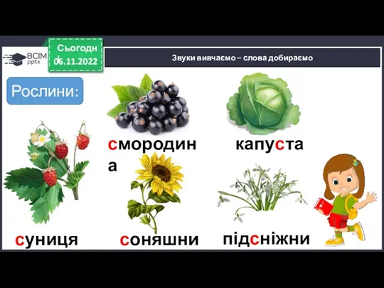 06.11.2022 Сьогодні Звуки вивчаємо – слова добираємо смородина капуста суниця Рослини: соняшник підсніжник