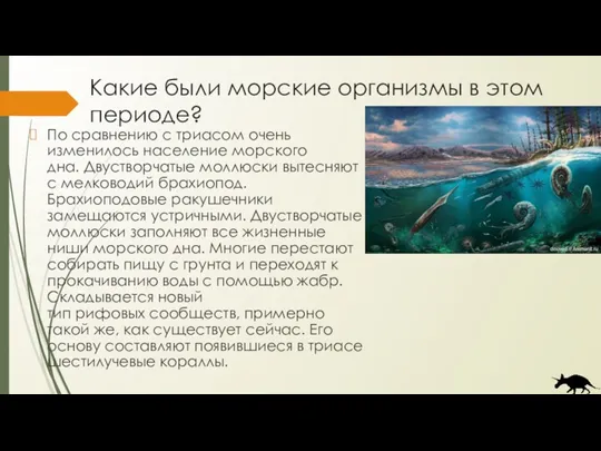 Какие были морские организмы в этом периоде? По сравнению с