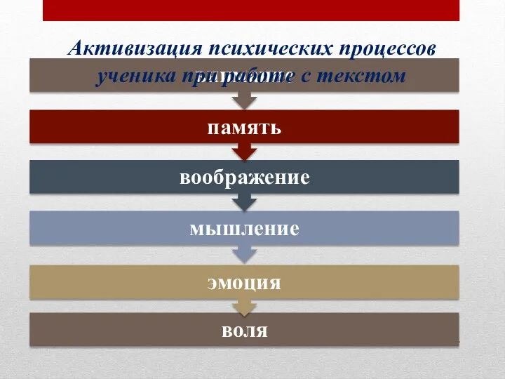 Активизация психических процессов ученика при работе с текстом