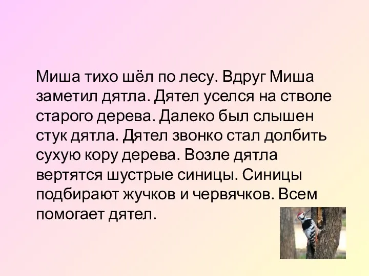 Миша тихо шёл по лесу. Вдруг Миша заметил дятла. Дятел уселся на стволе