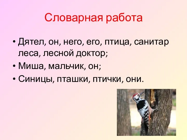 Словарная работа Дятел, он, него, его, птица, санитар леса, лесной доктор; Миша, мальчик,