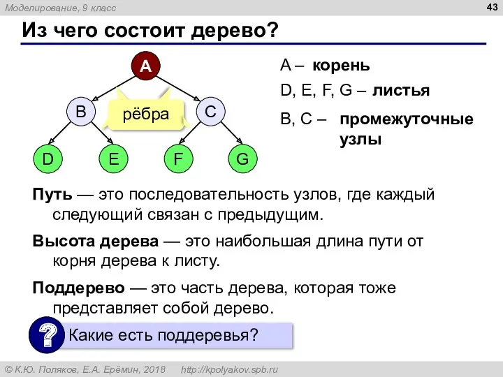 Из чего состоит дерево? A – D, E, F, G – корень листья