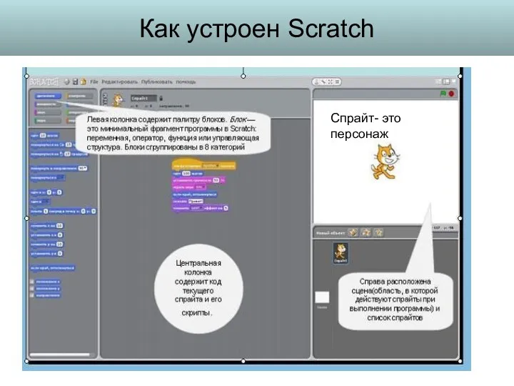 Как устроен Scratch Спрайт- это персонаж