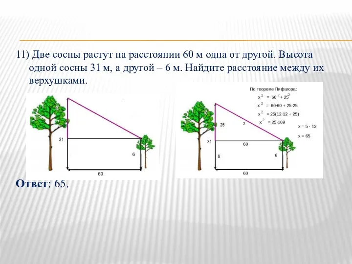 11) Две сосны растут на расстоянии 60 м одна от