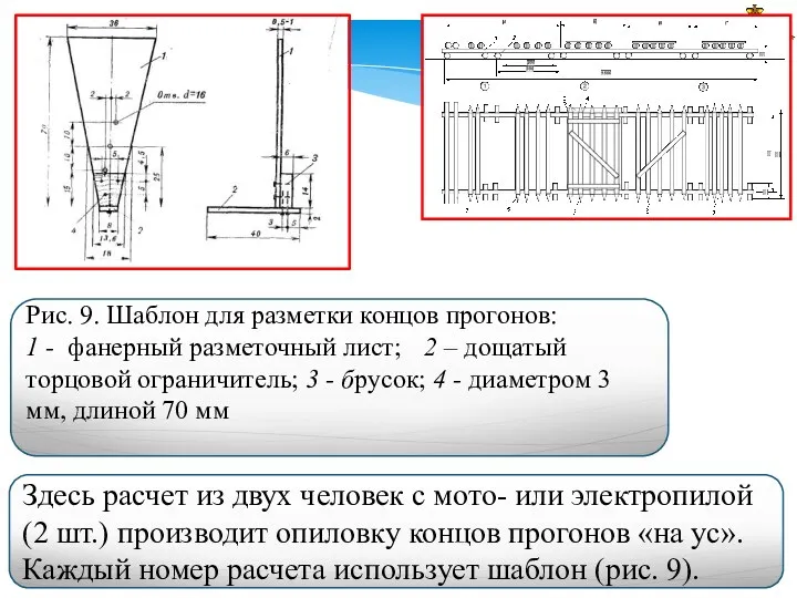 Здесь расчет из двух человек с мото- или электро­пилой (2