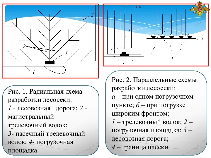 Рис. 1. Радиальная схема разработки лесосеки: 1 - лесовозная дорога;