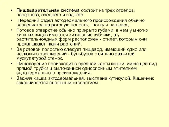 Пищеварительная система состоит из трех отделов: переднего, среднего и заднего.