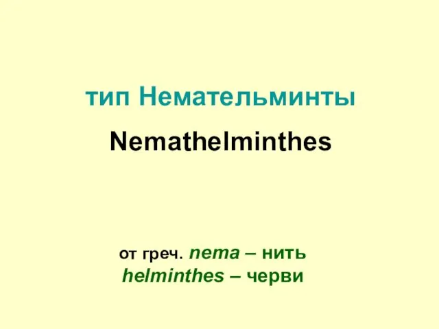 тип Немательминты Nemathelminthes от греч. nema – нить helminthes – черви
