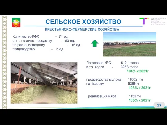 СЕЛЬСКОЕ ХОЗЯЙСТВО КРЕСТЬЯНСКО-ФЕРМЕРСКИЕ ХОЗЯЙСТВА Количество КФХ – 74 ед. в