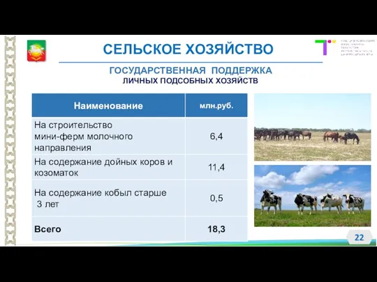 ГОСУДАРСТВЕННАЯ ПОДДЕРЖКА ЛИЧНЫХ ПОДСОБНЫХ ХОЗЯЙСТВ СЕЛЬСКОЕ ХОЗЯЙСТВО