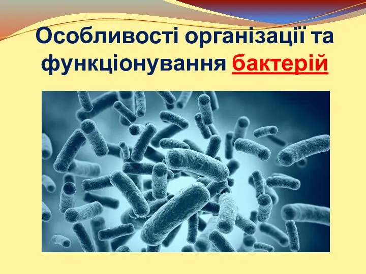 Особливості організації та функціонування бактерій