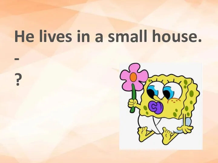 He lives in a small house. - ?