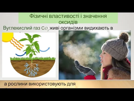 Фізичні властивості і значення оксидів Вуглекислий газ СO2 живі організми