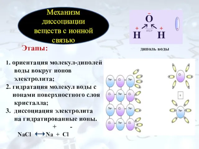 Этапы: диполь воды 1. ориентация молекул-диполей воды вокруг ионов электролита; 2. гидратация молекул