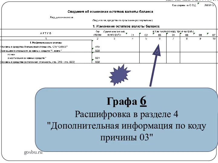 gosbu.ru Графа 6 Расшифровка в разделе 4 "Дополнительная информация по коду причины 03"