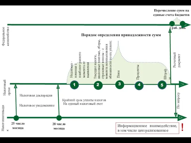 Порядок определения принадлежности сумм 25 число месяца Налоговая декларация Налоговое