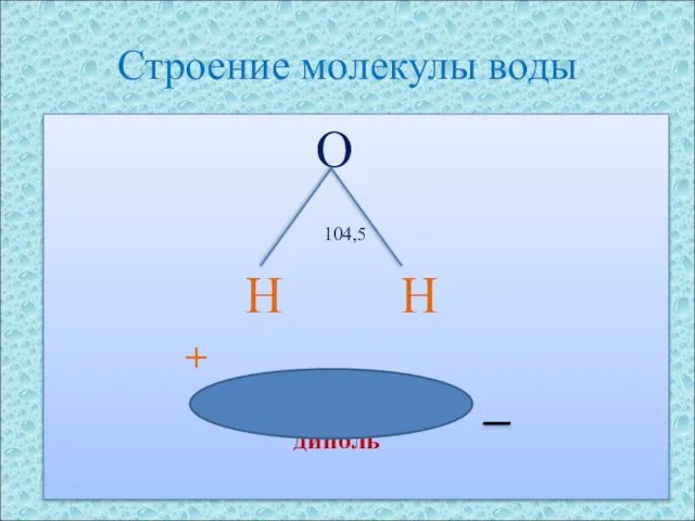 Строение молекулы воды O 104,5 H H + диполь