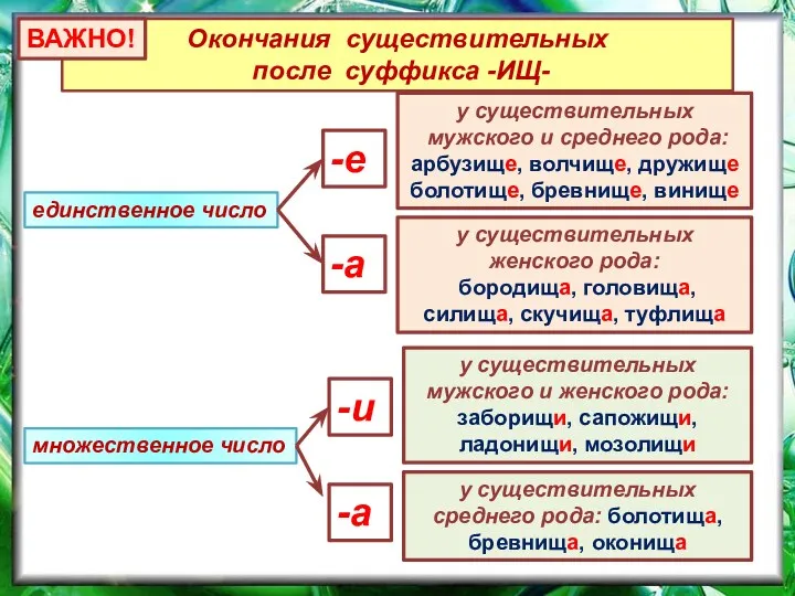 Окончания существительных после суффикса -ИЩ- -е -а -и единственное число